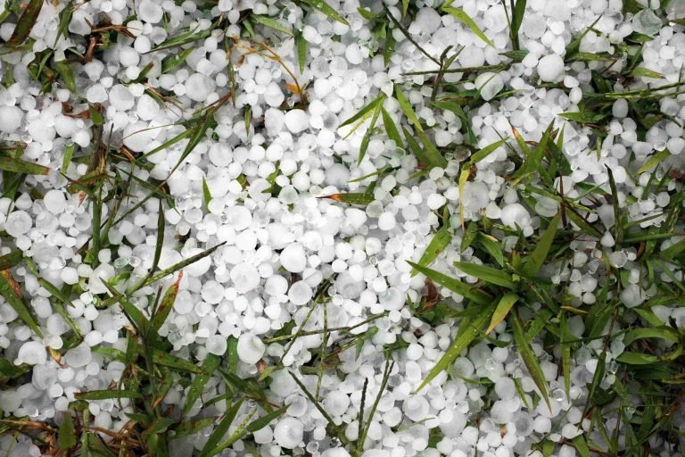 All Hail Fiber Cement: How Fiber Cement Siding Protects Homes 1 Hailstones scattered on green grass.