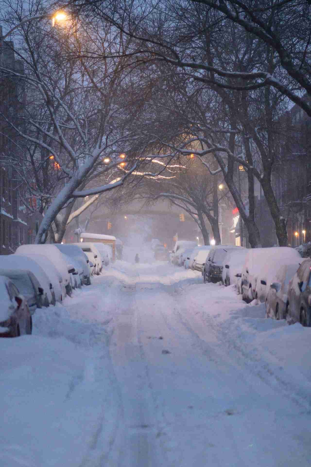 Snow-covered street lined with parked cars under leafless trees, streetlights glowing through the snowfall.