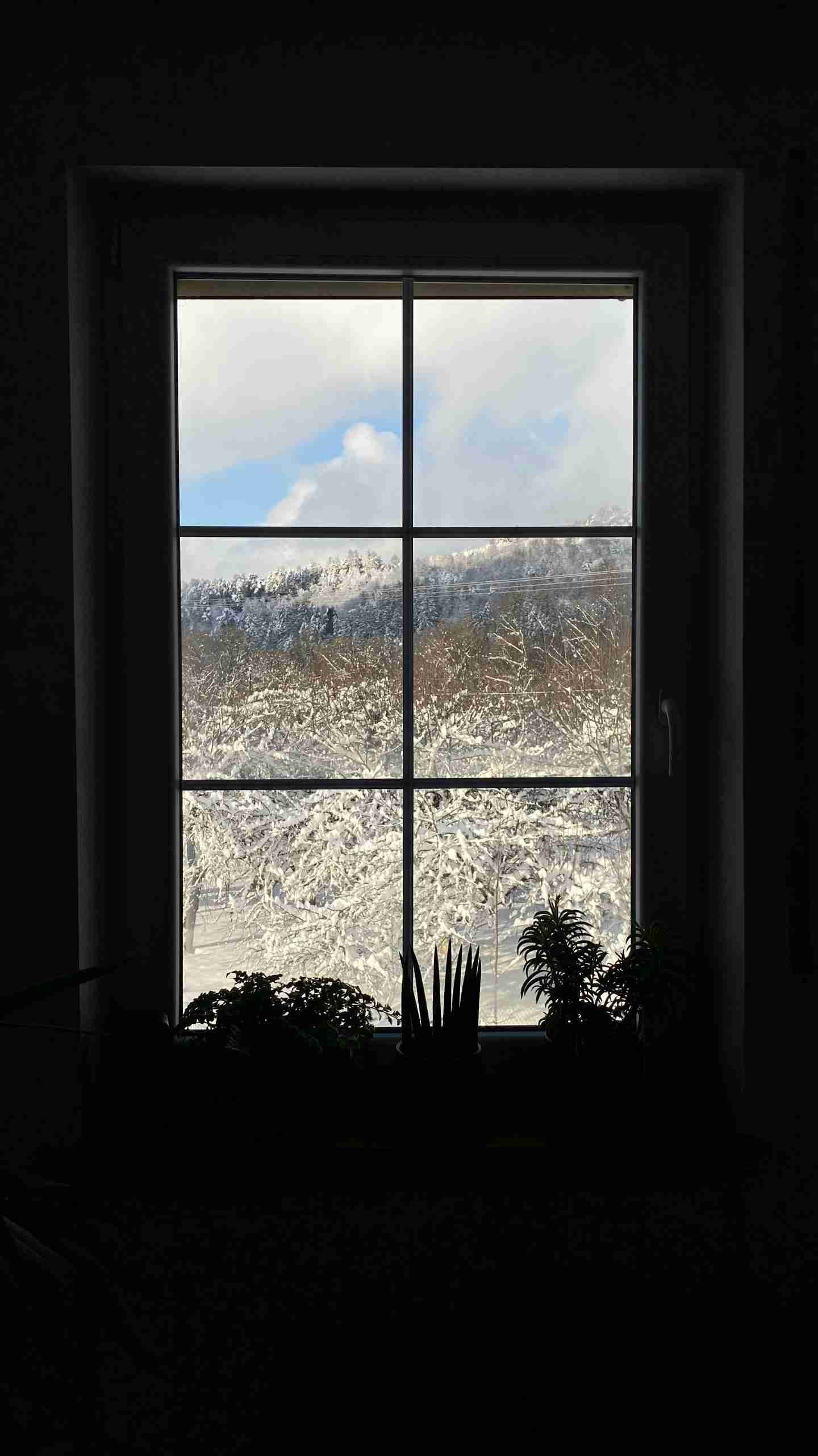 A long rectangular window with 6 square panes in its grille, looking out over a wintery landscape.